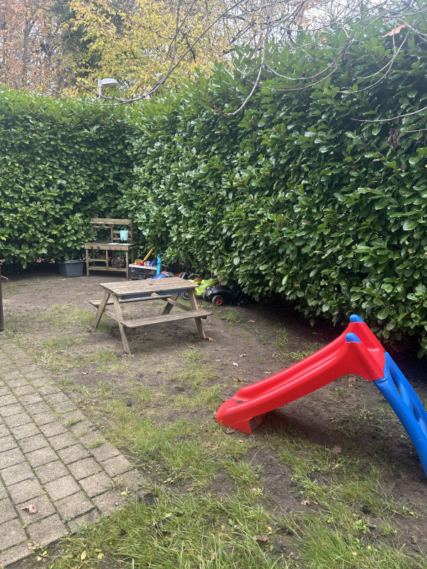 Unser kleiner Garten