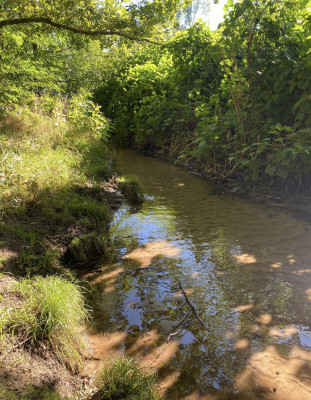 Natur erleben mit allen Sinnen